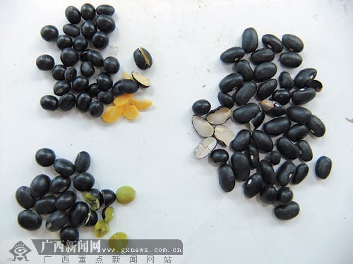 超市将黑芸豆“变身”成黑豆卖 泡酒喝或中毒(图)