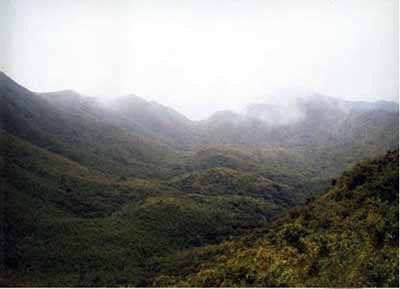 惠州罗浮山  广东青旅  www.kh1000.cn