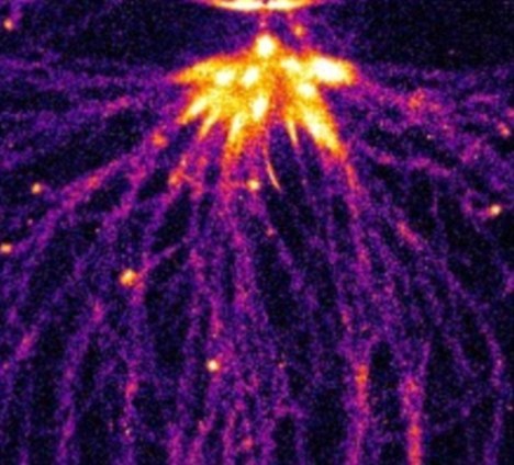 这束精灵闪光是科学家模拟出木星环境后，在瓶子里形成的