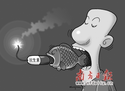新闻调查：养殖业滥用抗生素已成行业公开秘密